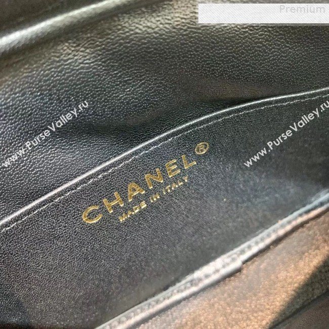 Chanel Iridescent Quilted Smooth Leather Camera Case Shoulder Bag A91796 Black 2019 (KAIS-9073109)