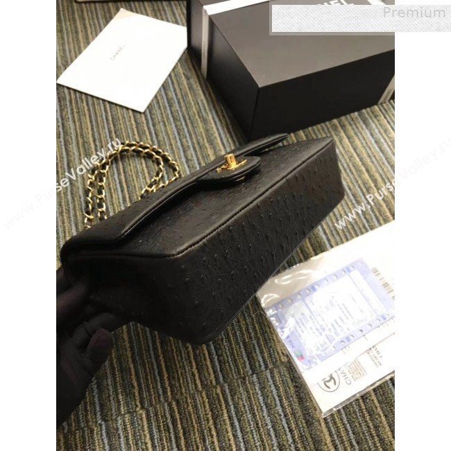 Chanel Ostrich Embossed Leather Medium Classic Flap Bag A01112 Black 2019 (KAIS-9080827)