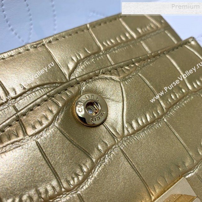 Chanel Lambskin and Crocodile Embossed Calfskin Medium 2.55 Flap Bag A37586 White/Gold 2019 (SSZ-9081715)