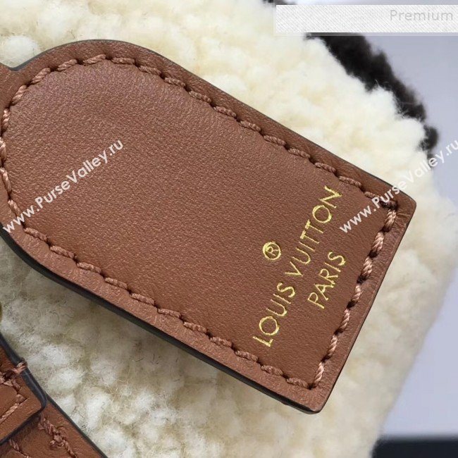 Louis Vuitton Teddy LV Fur Camera Bag M68599 Coffee 2019 (HAIT-9110513)