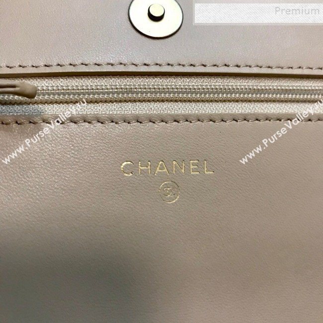Chanel 19 Quilted Goatskin Wallet on Chain WOC AP0957 Nude 2019 (JDH-9110401)