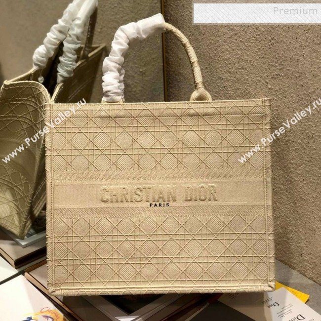 Dior Book Tote Large Bag in Geometry Embroidered Canvas Nude 2019 (XYD-9111249)