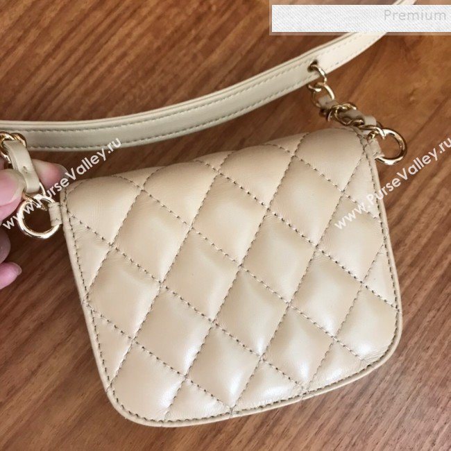 Chanel Quilted Leather Waist Bag and Coin Purse AP0743 Black/Beige 2019 (FM-9112916)