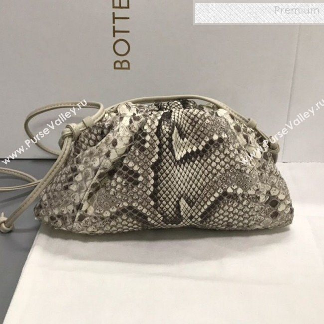 Bottega Veneta Small The Pouch Pythonskin Clutch Grey 2019 (MS-0011023)