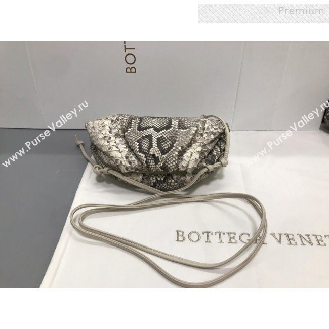 Bottega Veneta Small The Pouch Pythonskin Clutch Grey 2019 (MS-0011023)