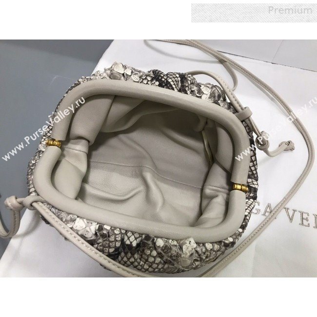 Bottega Veneta Small The Pouch Pythonskin Clutch Grey 2019 (MS-0011023)