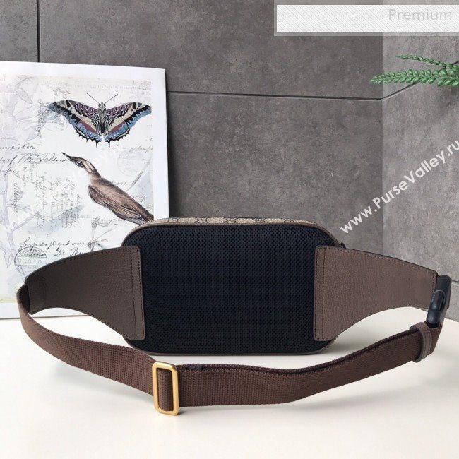 Gucci Ophidia GG Belt Bag ‎574796 Beige 2019 (DLH-0010721)