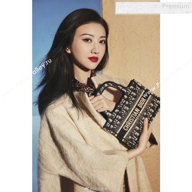 Dior Mini Book Tote Bag in Original Oblique Embroidered Canvas Burgundy 2019 (XXG-0010727)