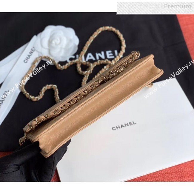Chanel Quilted Lambskin Tassel Wallet on Chain WOC AP0278 Nude 2019 (XING-0010332)