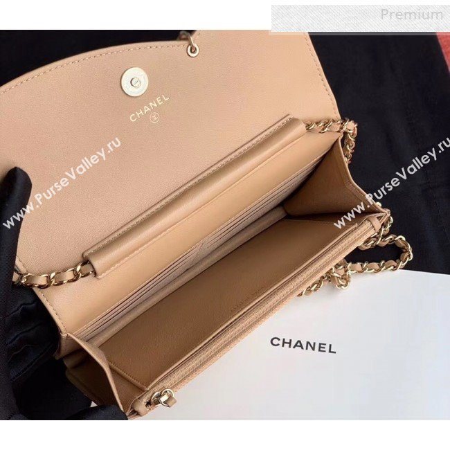 Chanel Quilted Lambskin Tassel Wallet on Chain WOC AP0278 Nude 2019 (XING-0010332)