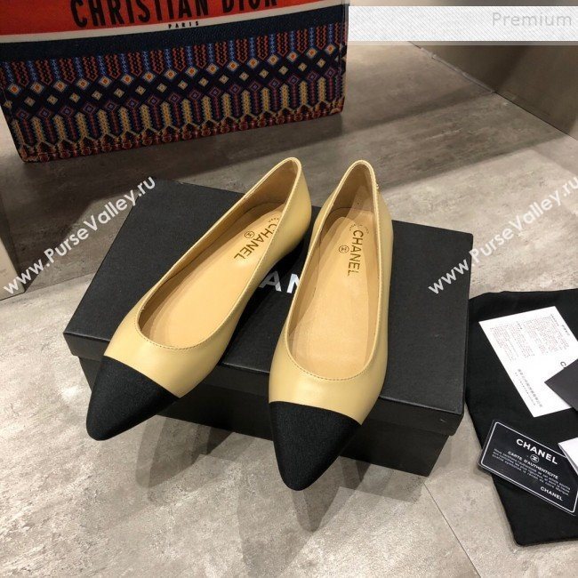 Chanel Calfskin Flat Ballerinas G35389 Beige 2019 (DLY-9120618)