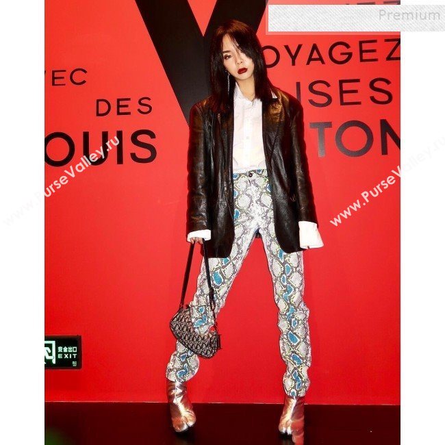 Dior Vintage Oblique Canvas Hobo Bag Blue 2019 (WP-9120540)