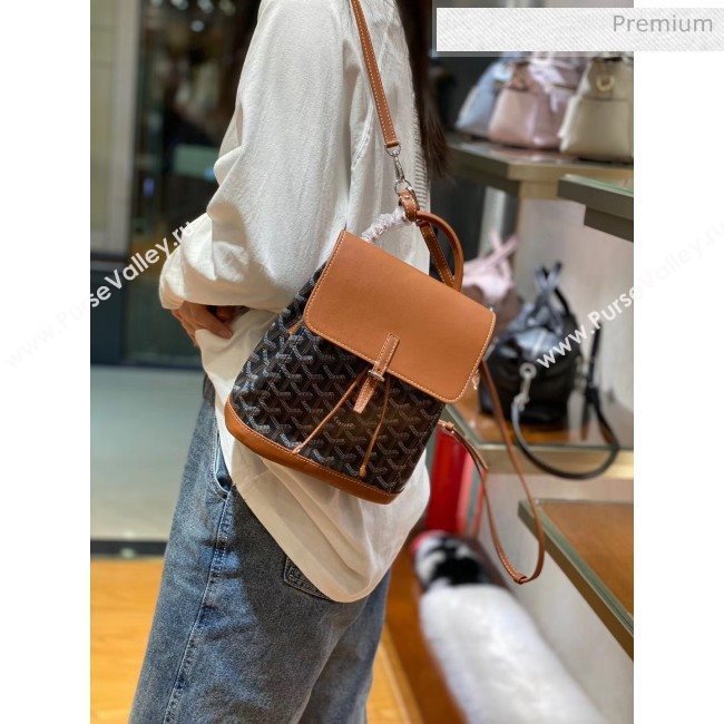 Goyard Alpin Mini Backpack Bag Black/Brown 2020 (TS-20032027)
