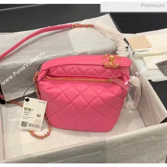 Chanel Quilted Leather Small Hobo Bag With Gold-Tone Metal AS1745 Pink 2020 (KS-20040327)