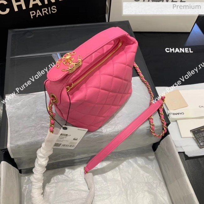 Chanel Quilted Leather Small Hobo Bag With Gold-Tone Metal AS1745 Pink 2020 (KS-20040327)