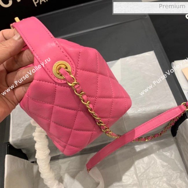 Chanel Quilted Leather Small Hobo Bag With Gold-Tone Metal AS1745 Pink 2020 (KS-20040327)