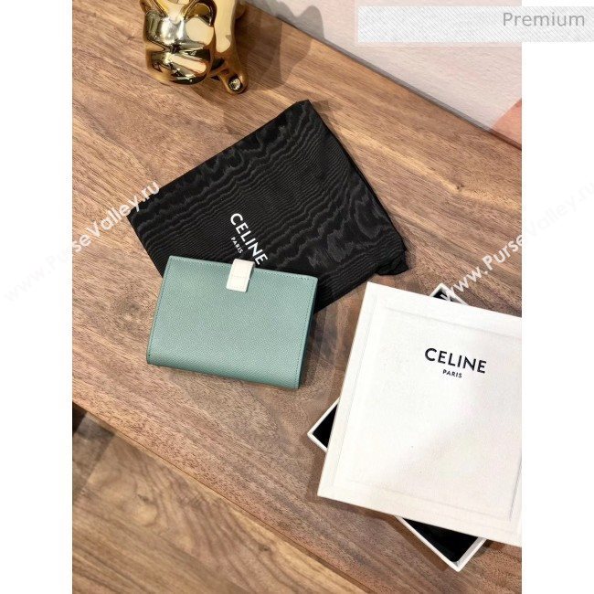 Celine Grained Calfskin Medium Strap Multifunction Wallet Light Green/White (BXL-20040205)