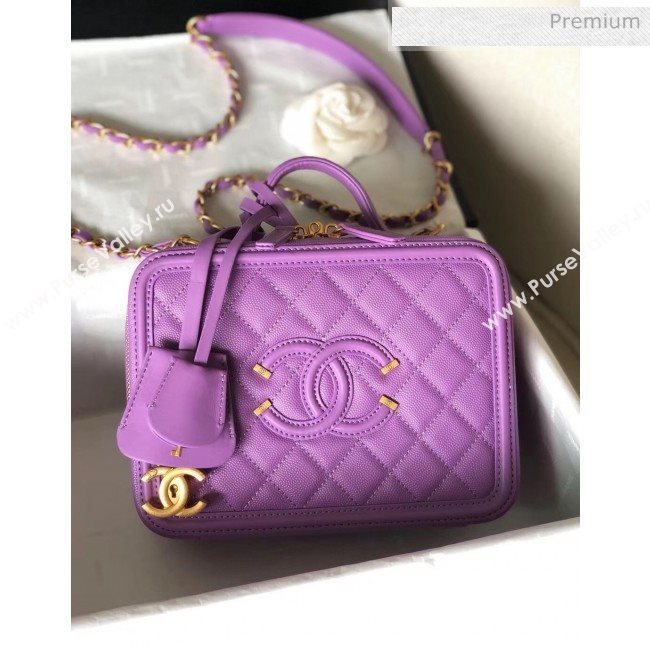 Chanel Grained Calfskin Medium Vanity Case Bag A93343 Purple 2019 (YD-20040212)