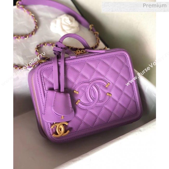 Chanel Grained Calfskin Medium Vanity Case Bag A93343 Purple 2019 (YD-20040212)
