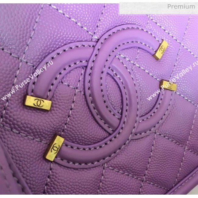 Chanel Grained Calfskin Medium Vanity Case Bag A93343 Purple 2019 (YD-20040212)
