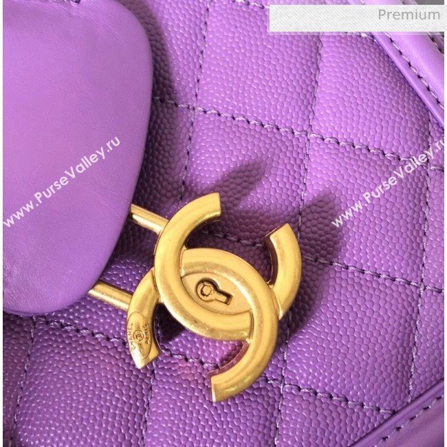 Chanel Grained Calfskin Medium Vanity Case Bag A93343 Purple 2019 (YD-20040212)