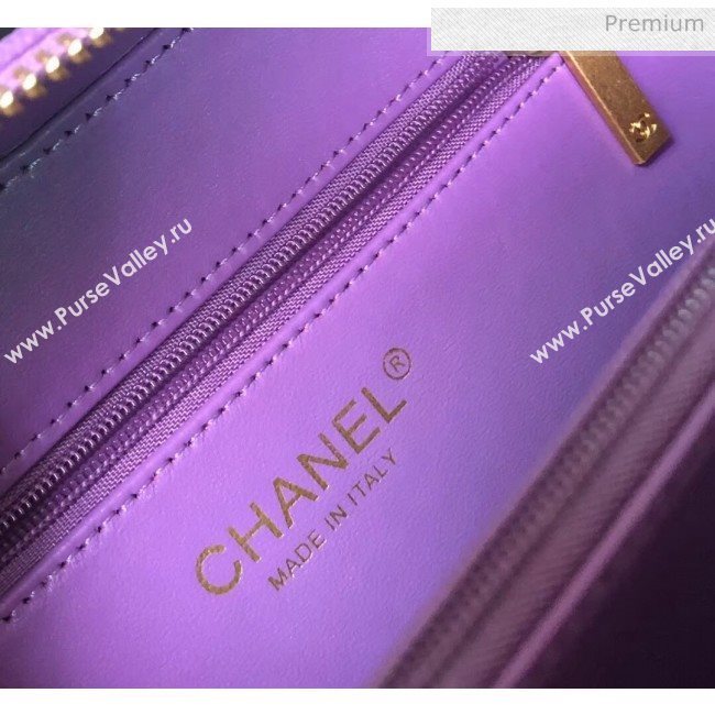 Chanel Grained Calfskin Medium Vanity Case Bag A93343 Purple 2019 (YD-20040212)