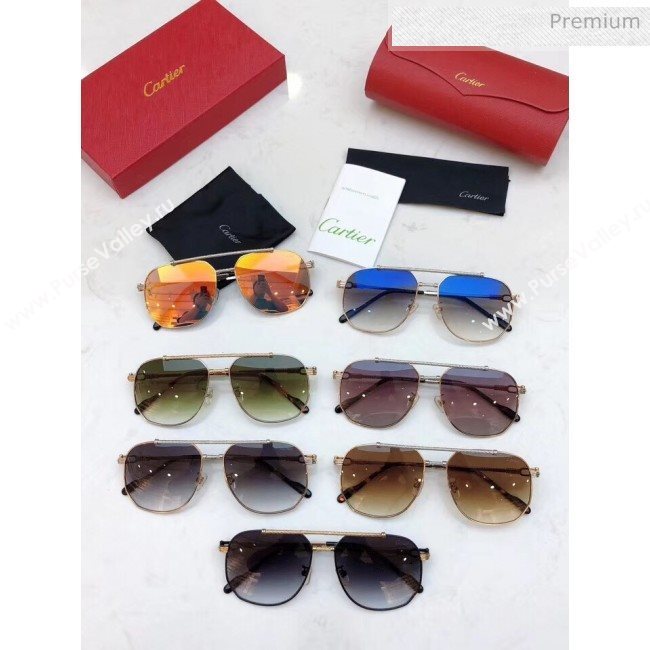 Cartier Sunglasses CT0298 120 2020 (A-20041060)