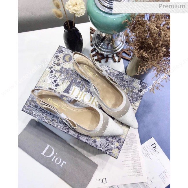 Dior JAdior Plumetis Ballerina Flat White 2020 (JC-20041821)