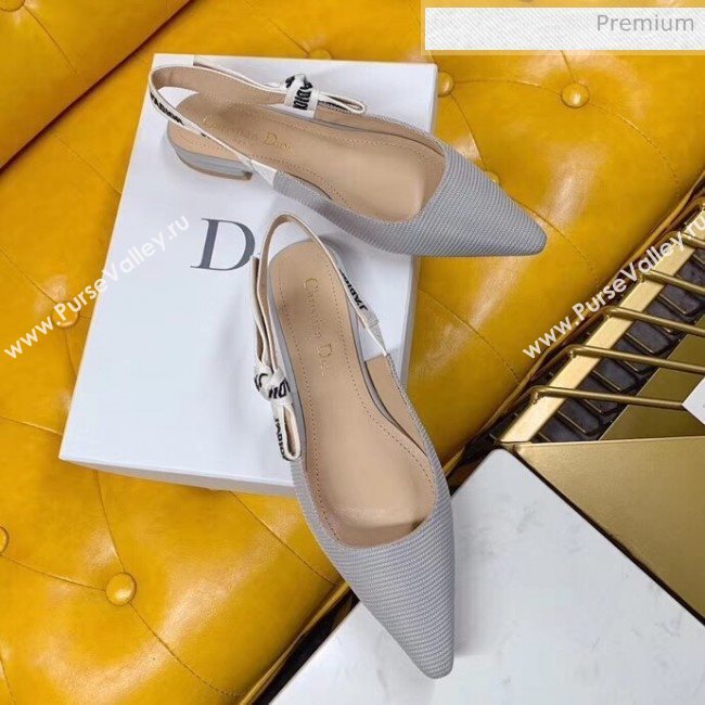 Dior JAdior Slingback Flats in Technical Fabric Grey 2020  (BLD-20041801)
