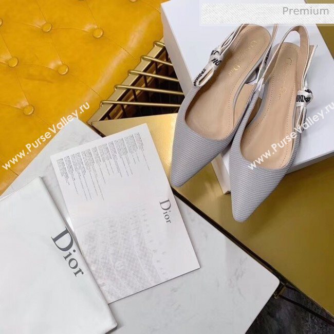 Dior JAdior Slingback Flats in Technical Fabric Grey 2020  (BLD-20041801)