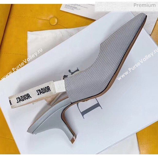 Dior JAdior Slingback Pumps in Technical Fabric Grey 6.5cm Heel 2020  (BLD-20041802)