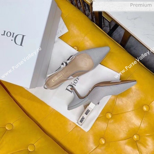 Dior JAdior Slingback Pumps in Technical Fabric Grey 6.5cm Heel 2020  (BLD-20041802)