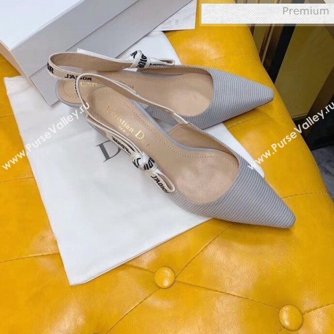 Dior JAdior Slingback Pumps in Technical Fabric Grey 6.5cm Heel 2020  (BLD-20041802)