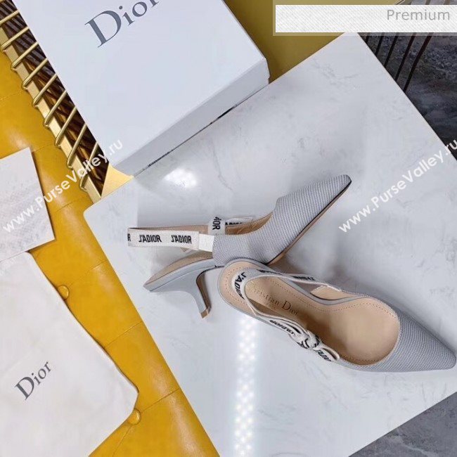 Dior JAdior Slingback Pumps in Technical Fabric Grey 6.5cm Heel 2020  (BLD-20041802)