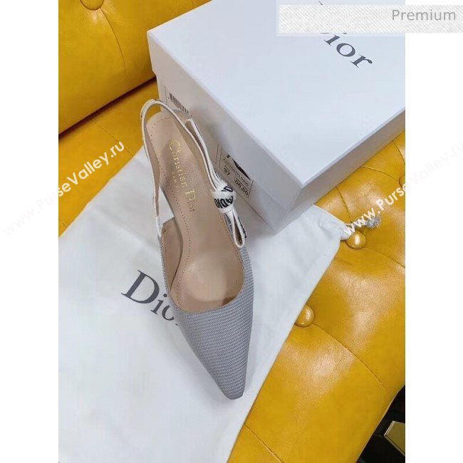 Dior JAdior Slingback Pumps in Technical Fabric Grey 9.5cm Heel 2020  (BLD-20041803)