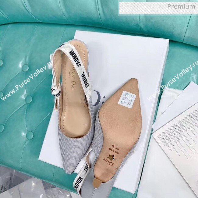 Dior JAdior Slingback Pumps in Technical Fabric Grey 9.5cm Heel 2020  (BLD-20041803)