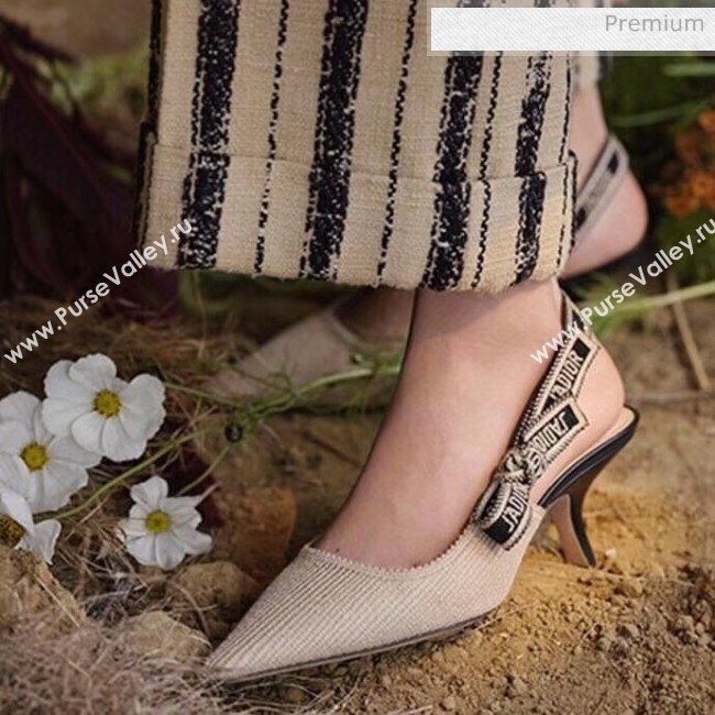 Dior JAdior Technical Fabric Slingback Pump With 6.5cm Heel Beige 2020 (JC-20041825)