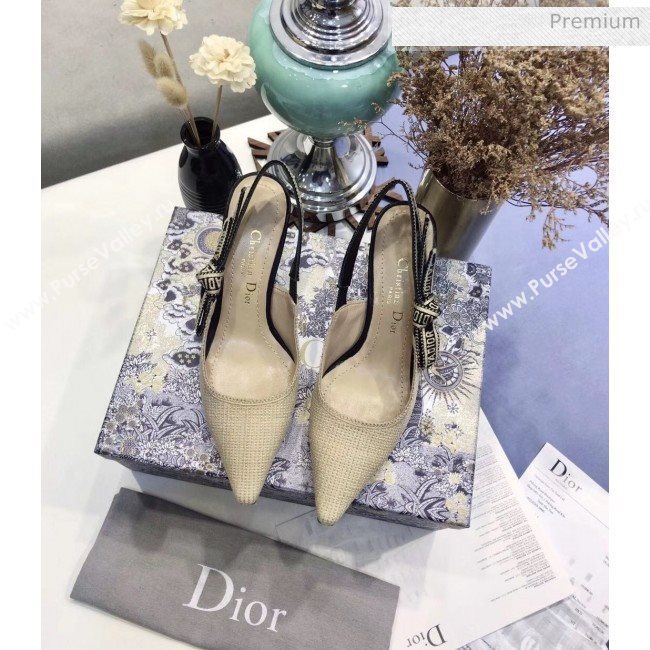 Dior JAdior Technical Fabric Slingback Pump With 6.5cm Heel Beige 2020 (JC-20041825)