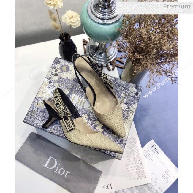 Dior JAdior Technical Fabric Slingback Pump With 6.5cm Heel Beige 2020 (JC-20041825)