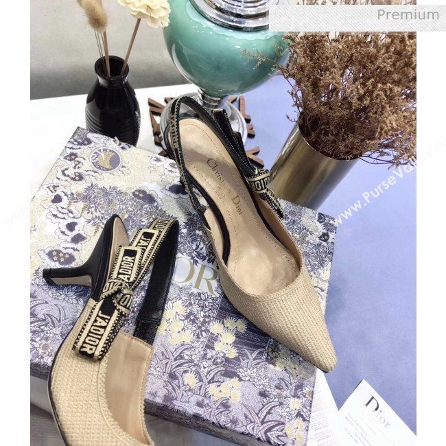 Dior JAdior Technical Fabric Slingback Pump With 6.5cm Heel Beige 2020 (JC-20041825)