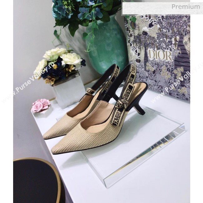 Dior JAdior Technical Fabric Slingback Pump With 6.5cm Heel Beige 2020 (JC-20041825)