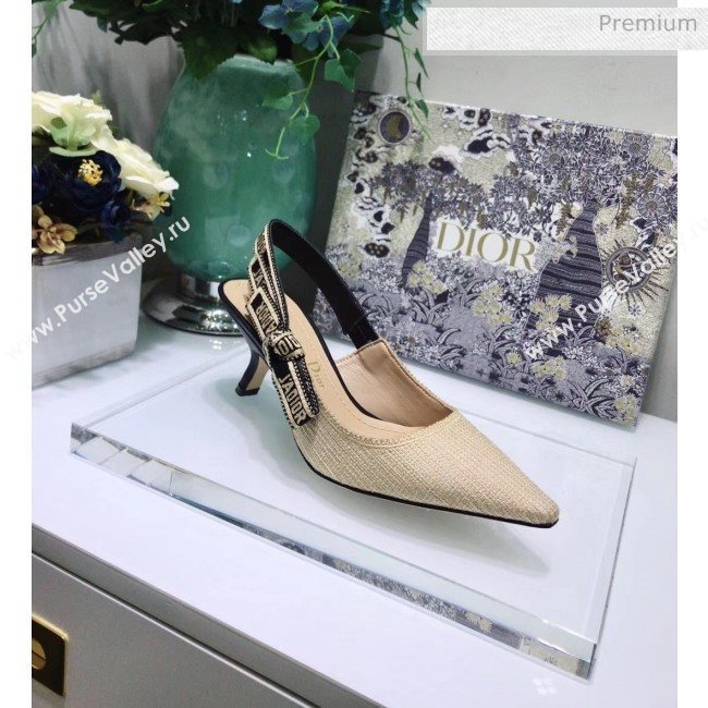Dior JAdior Technical Fabric Slingback Pump With 6.5cm Heel Beige 2020 (JC-20041825)