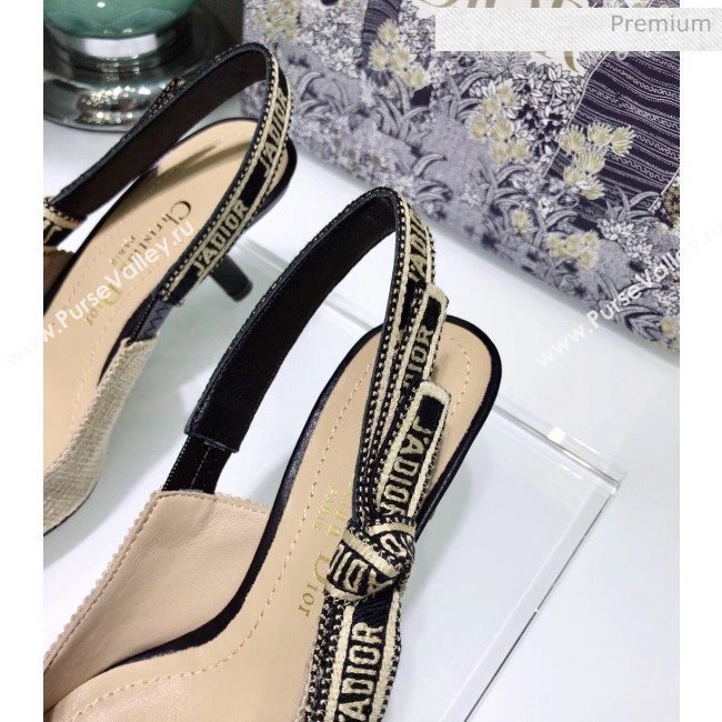Dior JAdior Technical Fabric Slingback Pump With 6.5cm Heel Beige 2020 (JC-20041825)