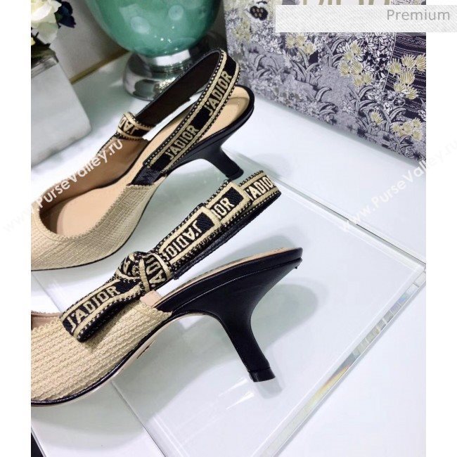 Dior JAdior Technical Fabric Slingback Pump With 6.5cm Heel Beige 2020 (JC-20041825)