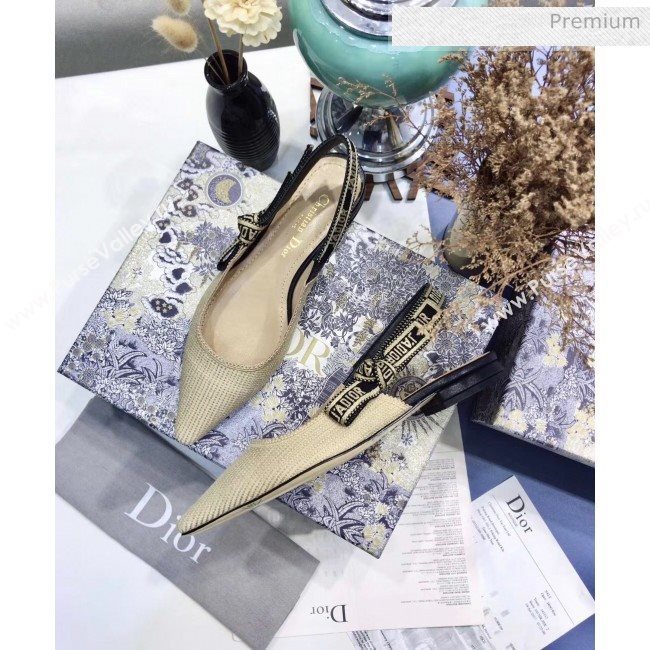 Dior JAdior Technical Fabric Slingback Pump With 6.5cm Heel Beige 2020 (JC-20041825)