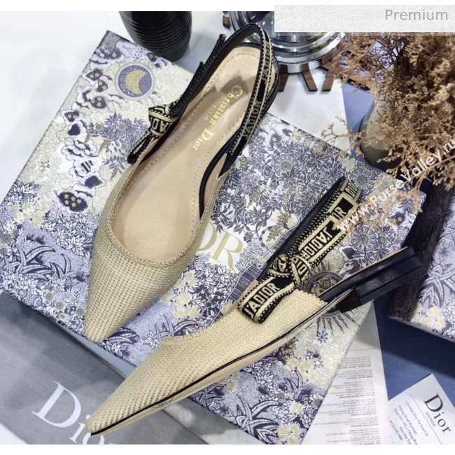 Dior JAdior Technical Fabric Slingback Pump With 6.5cm Heel Beige 2020 (JC-20041825)