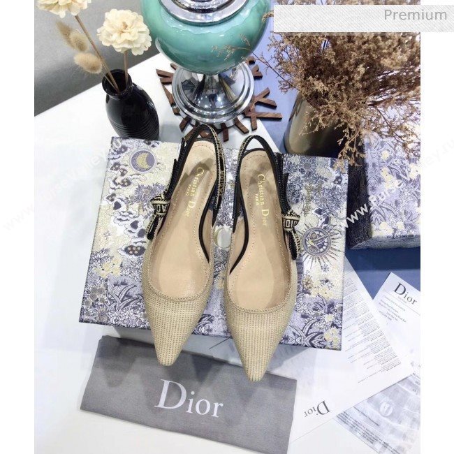 Dior JAdior Technical Fabric Slingback Ballerina Flat Beige 2020 (JC-20041824)