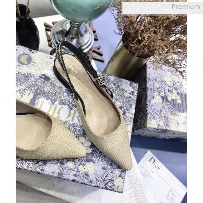 Dior JAdior Technical Fabric Slingback Ballerina Flat Beige 2020 (JC-20041824)
