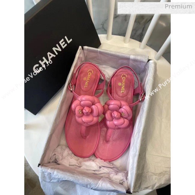 Chanel Lambskin Classic Camellia Thong Sandals Pink 2020 (NH-20042301)