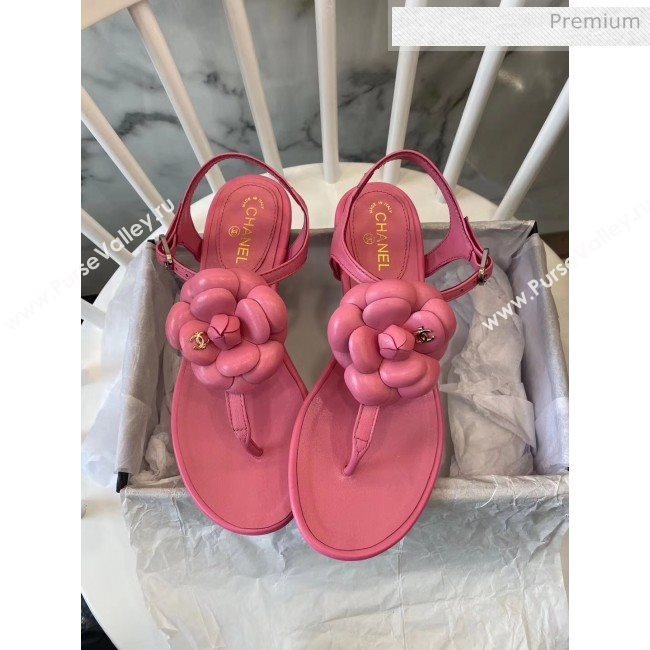Chanel Lambskin Classic Camellia Thong Sandals Pink 2020 (NH-20042301)